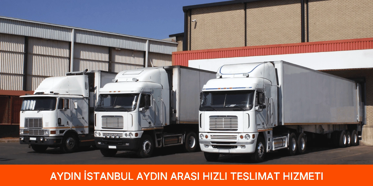 İstanbul Aydın Arası Hızlı Teslimat Hizmeti