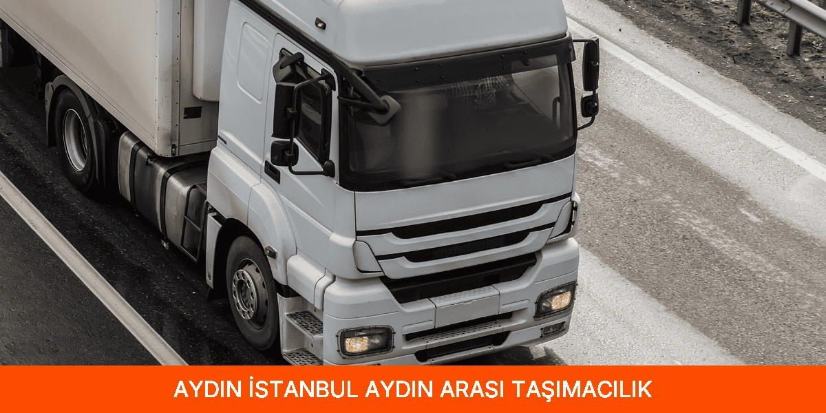 İstanbul Aydın Arası Taşımacılık
