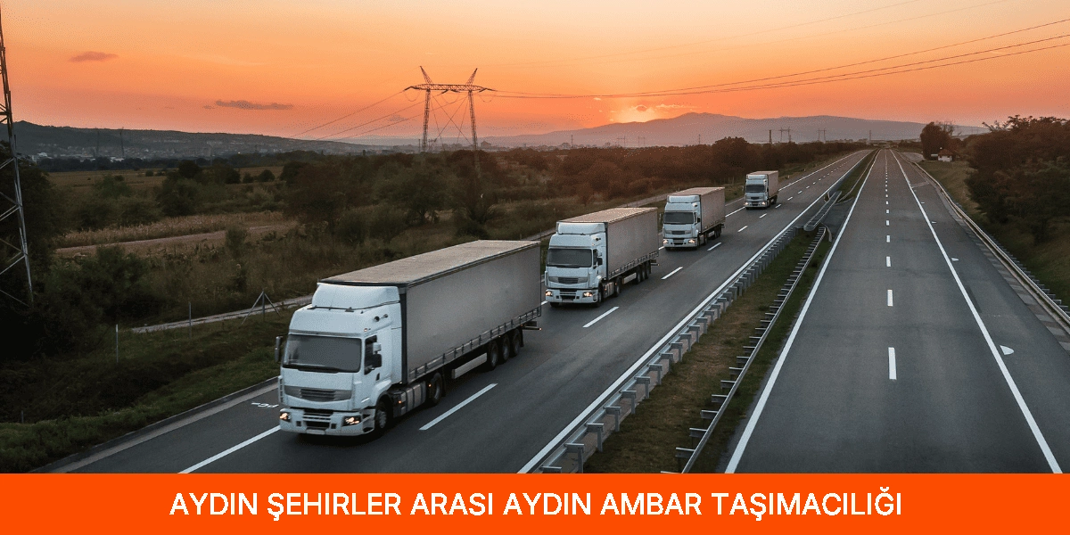 Şehirler Arası Aydın Ambar Taşımacılığı